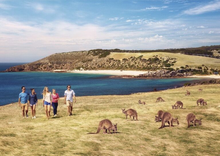 How To Spend a Great Day on Australia– You Should Know