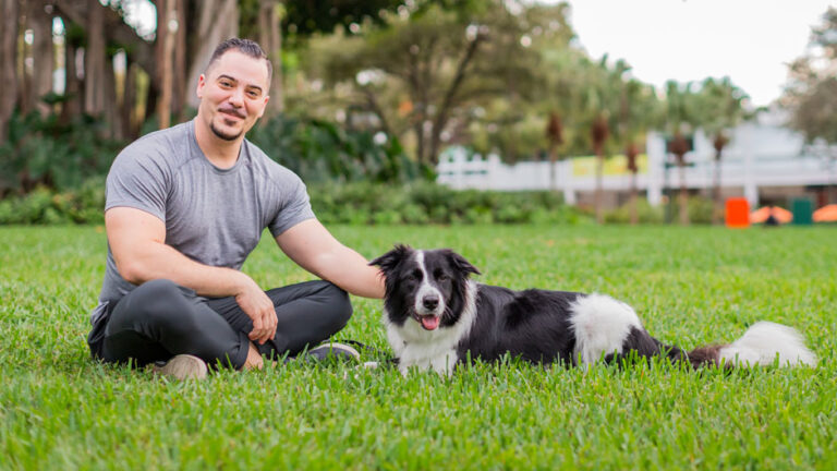 Miami Dog Training Company Allows Canine Owners Training