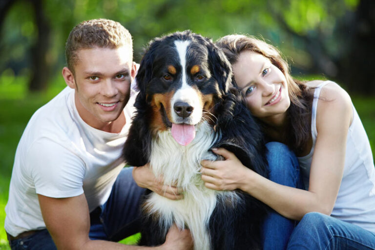 Tips To Have a Better Relationship With Your Pet You Should Know