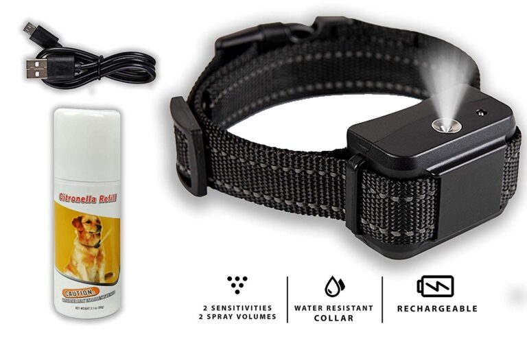 Where To Get An Anti Bark Collar You Should Know