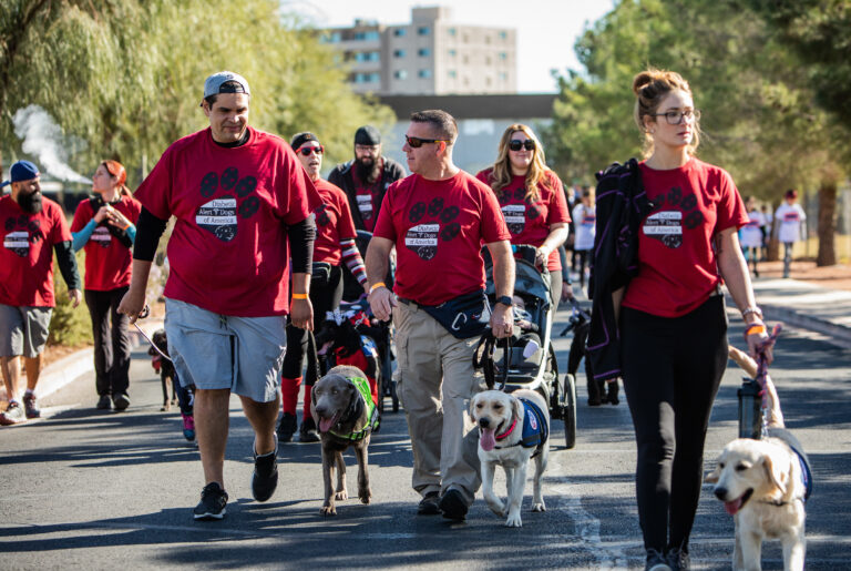 Dray’s Alert Dogs In Jasper TX Provides Diabetic Alert Dogs For Service Needs
