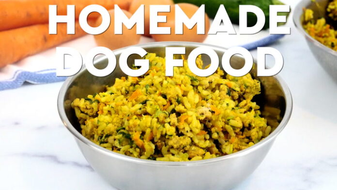 Varied Homemade Dog Food Recipes For Nutrition and Interest