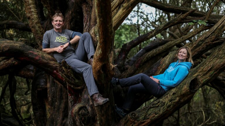 Navigation Through The MBA Jungle Related Information