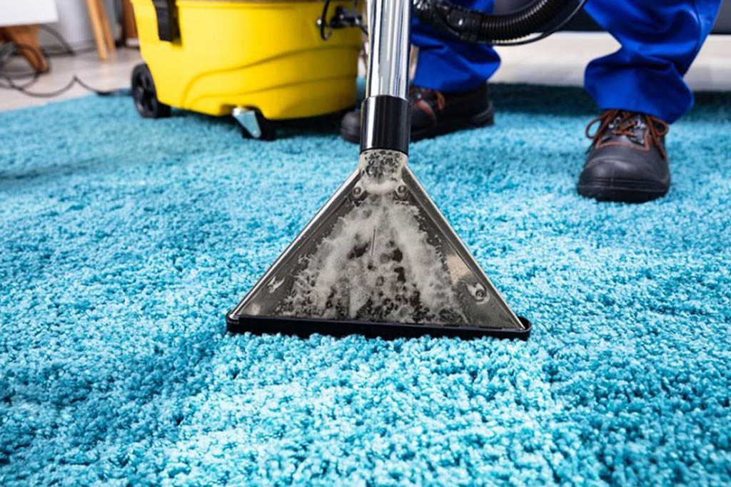 Carlsbad and Encinitas Carpet Cleaning Company Opens For Business