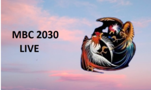 mbc2030 Live Sabong Register and Dashboard Login Process