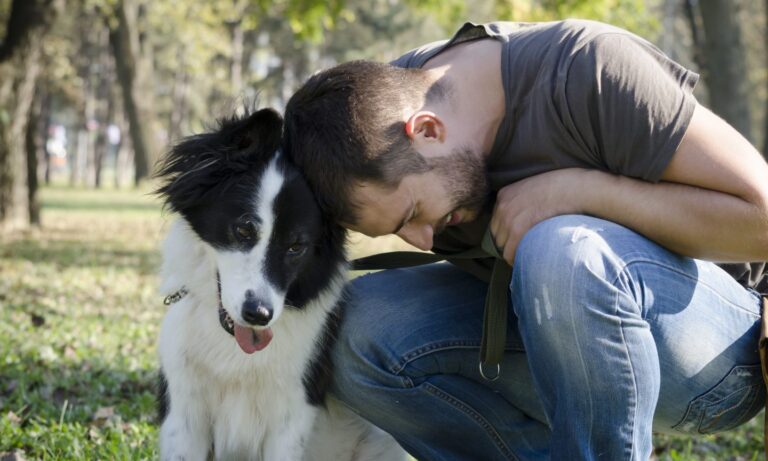 A Golden Guide to Canine Liability Coverage