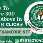 2023 JAMB RUNZ | 2023 JAMB Questions and Answers
