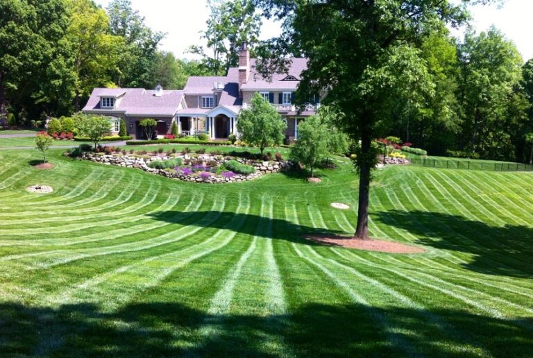 GG Landscaping SC Can Help You Turn Your Lawn Into a Garden